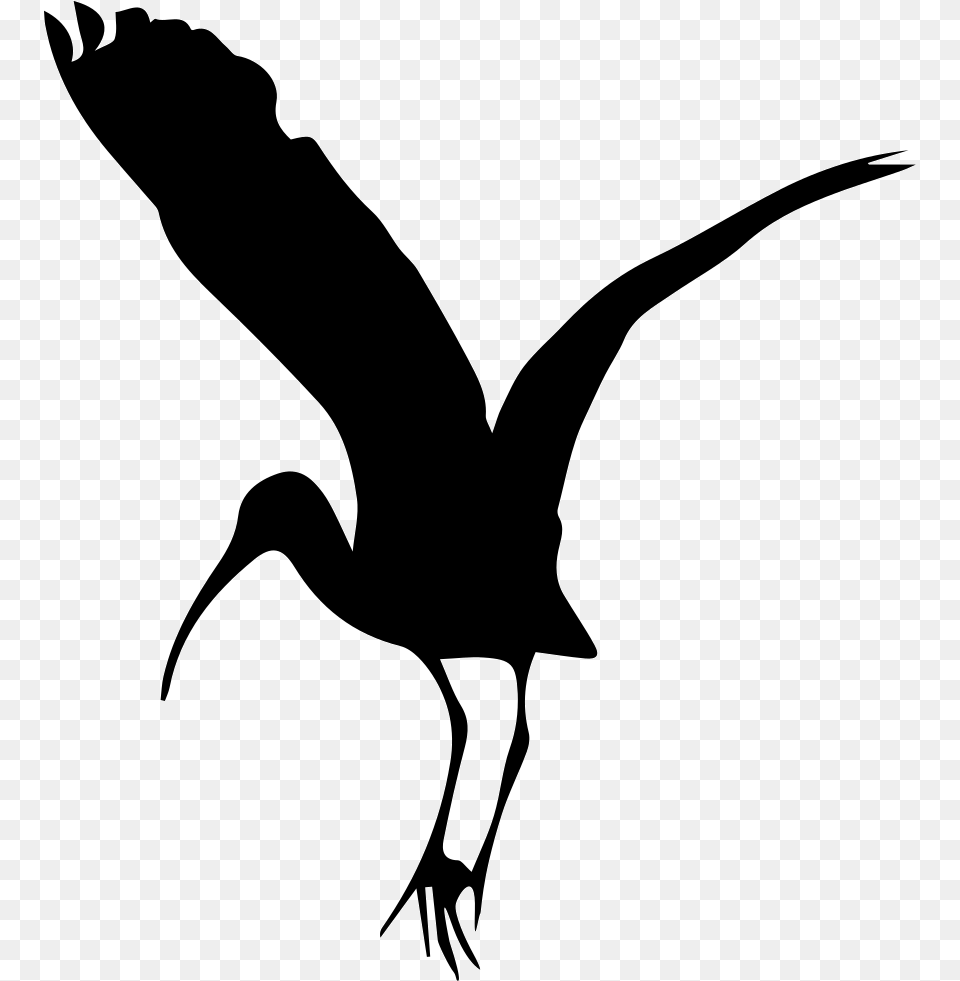 Bird Stork Shape Stork Shape, Silhouette, Animal, Crane Bird, Waterfowl Free Png