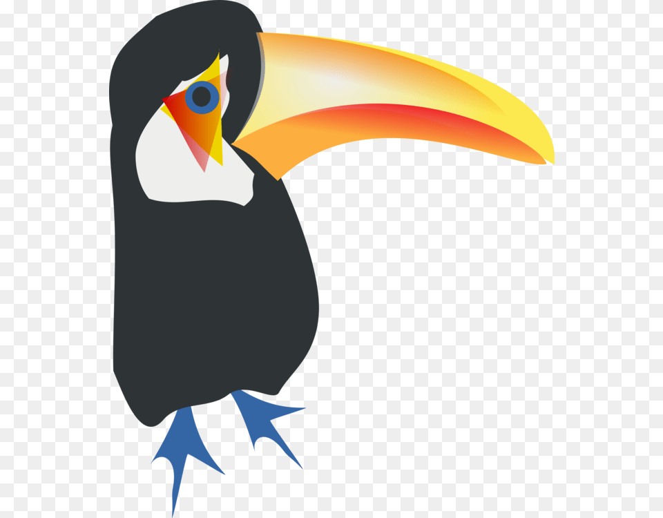 Bird Toco Toucan Parrot Piciformes, Animal, Beak, Person Free Png Download