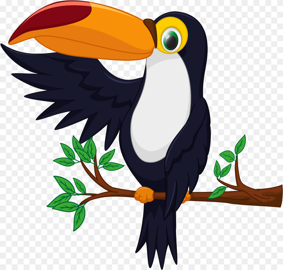 Bird Toucan Drawing Cartoon Toucan Bird, Animal, Beak, Fish, Sea Life Free Png