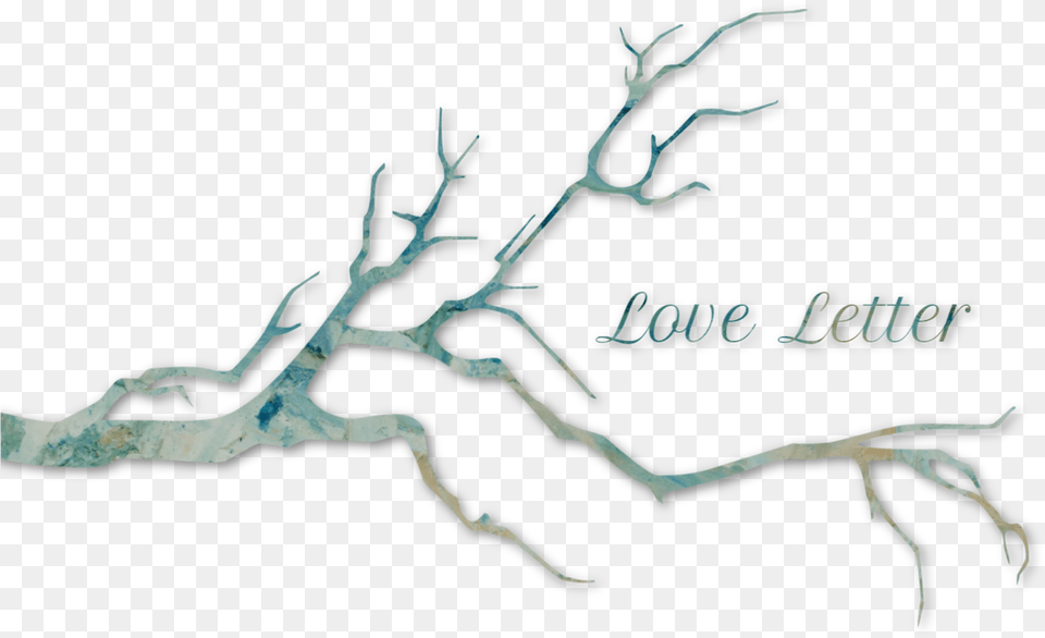 Bird Tree Branch Silhouette, Wood, Art Free Png