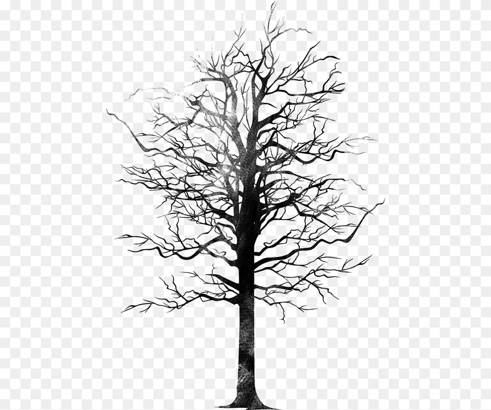Bird Tree Monochrome Silhouette, Gray Free Png Download