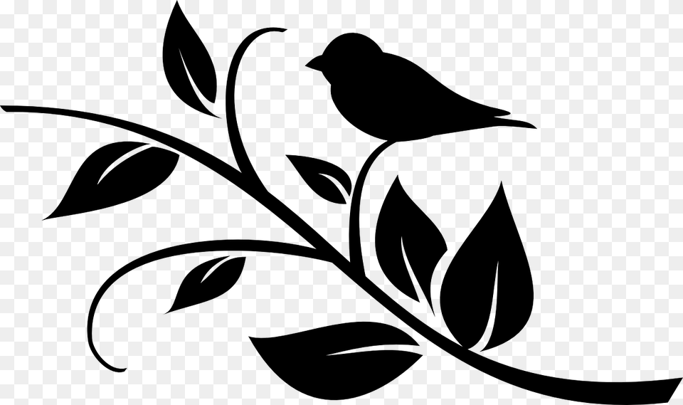 Bird Twitter Branch Branch Silhouette, Gray Png