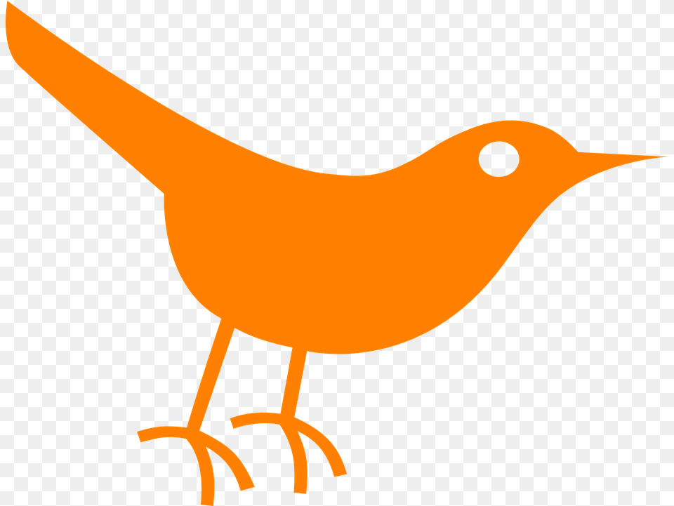 Bird Twitter Orange Vector Graphic On Pixabay Cute Robin Bird Icon, Animal, Beak, Fish, Sea Life Png Image