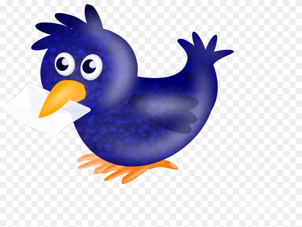 Bird Vector, Animal, Beak, Jay Free Png Download