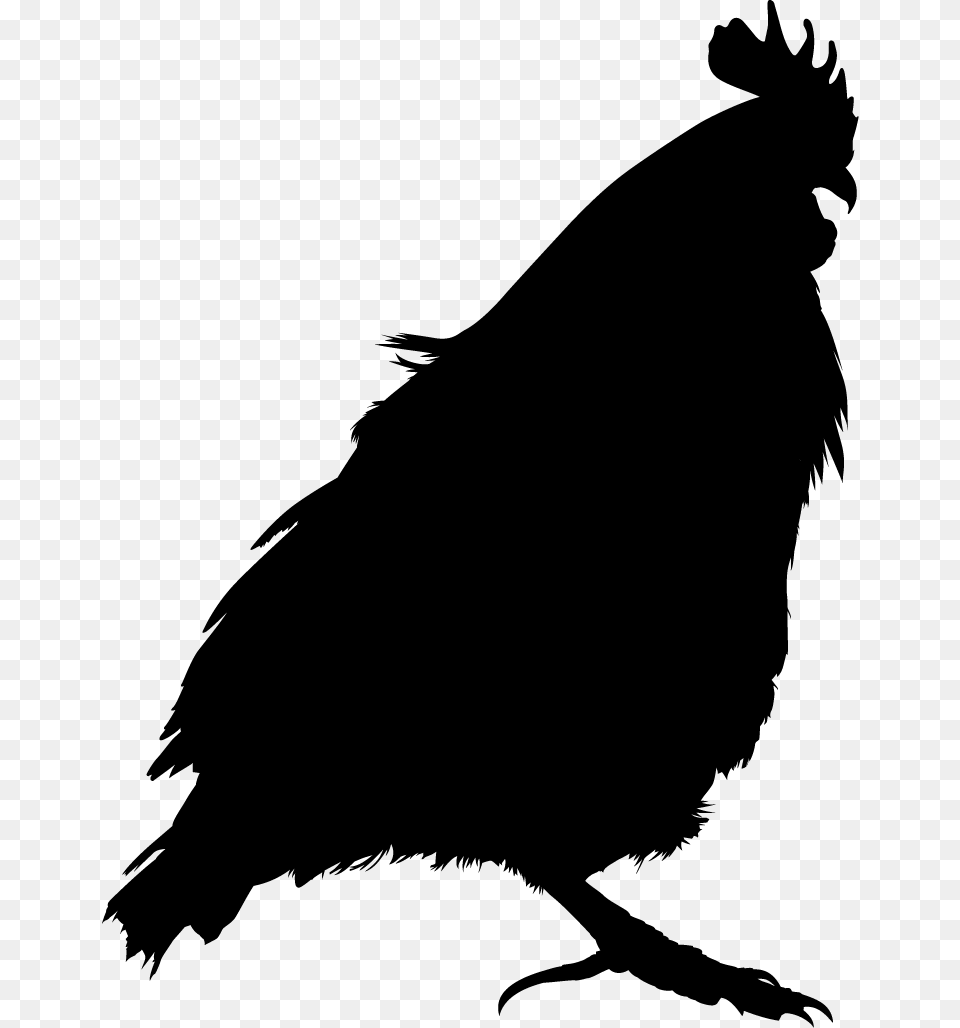 Bird Vector, Silhouette, Animal, Clothing, Coat Png Image