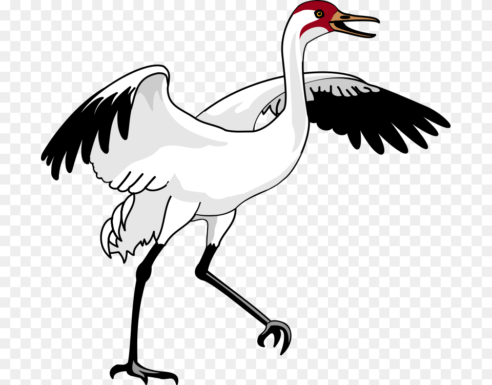 Bird Vector, Animal, Crane Bird, Waterfowl Png Image