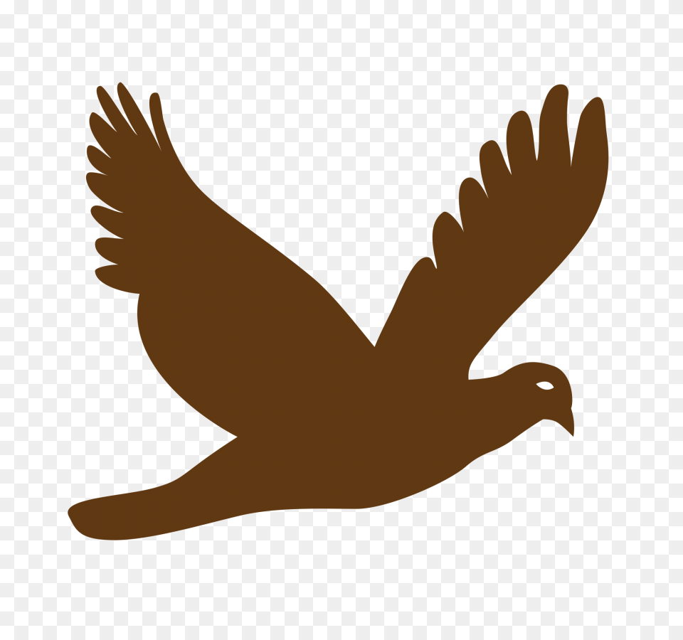 Bird Vector Background Image Download, Clothing, Glove, Animal, Pigeon Png