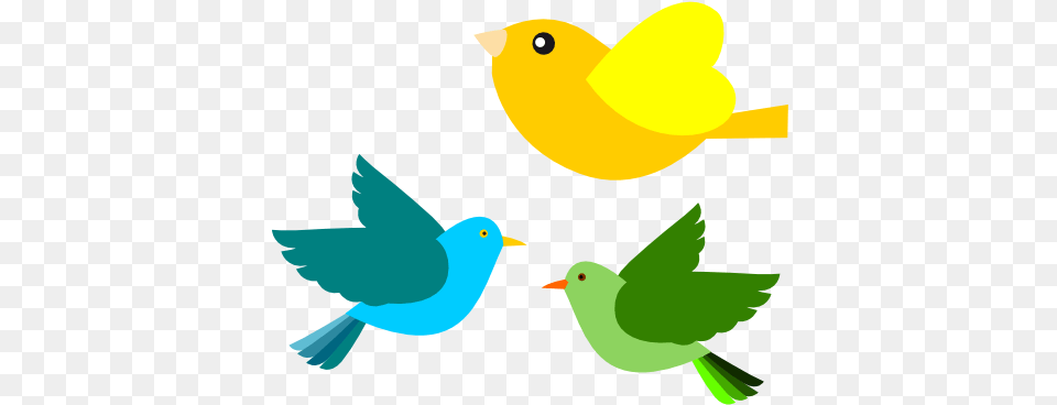 Bird Vector Birds Clipart, Animal, Beak Png