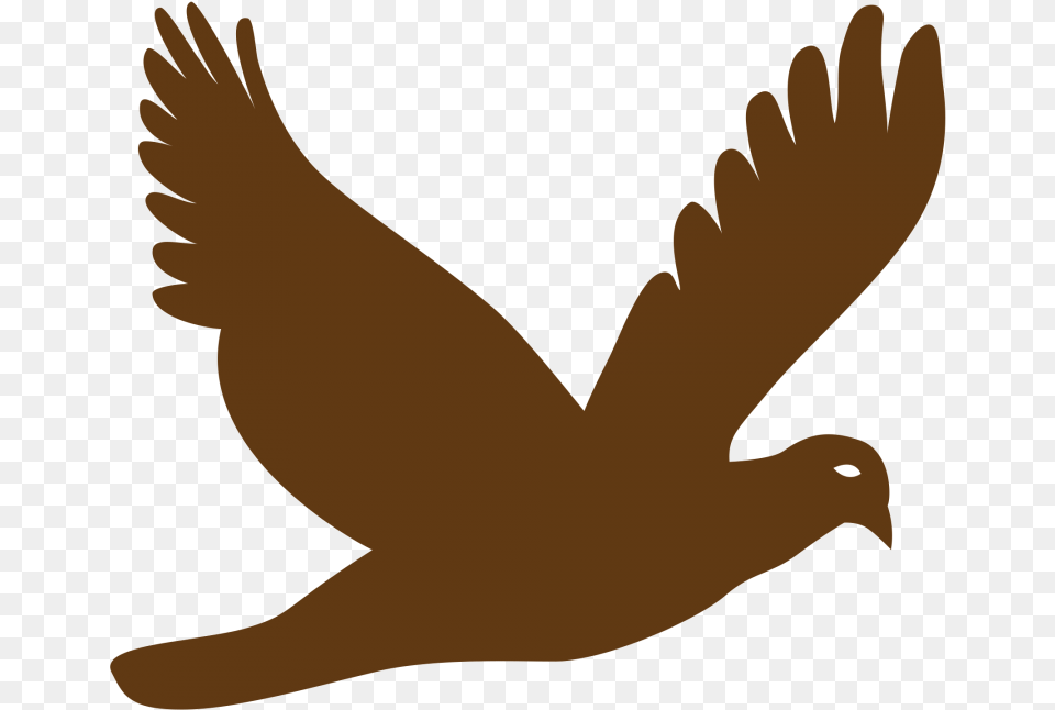 Bird Vector Flying Bird Vector, Clothing, Glove, Animal, Pigeon Png