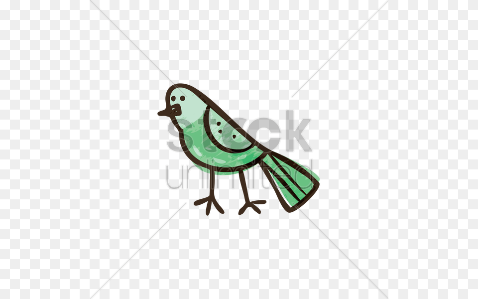 Bird Vector Image, Animal Free Transparent Png