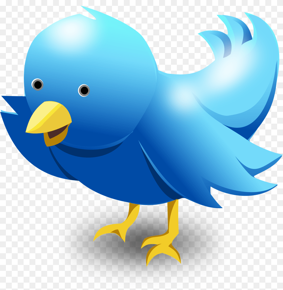 Bird Vector Image Vector Twitter Bird, Animal, Beak, Fish, Sea Life Free Png