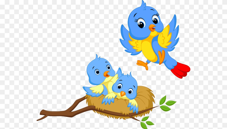 Bird Vector Nest On Clipart Birds And For Transparent Oiseaux De Dessin Anim, Animal, Jay Free Png Download