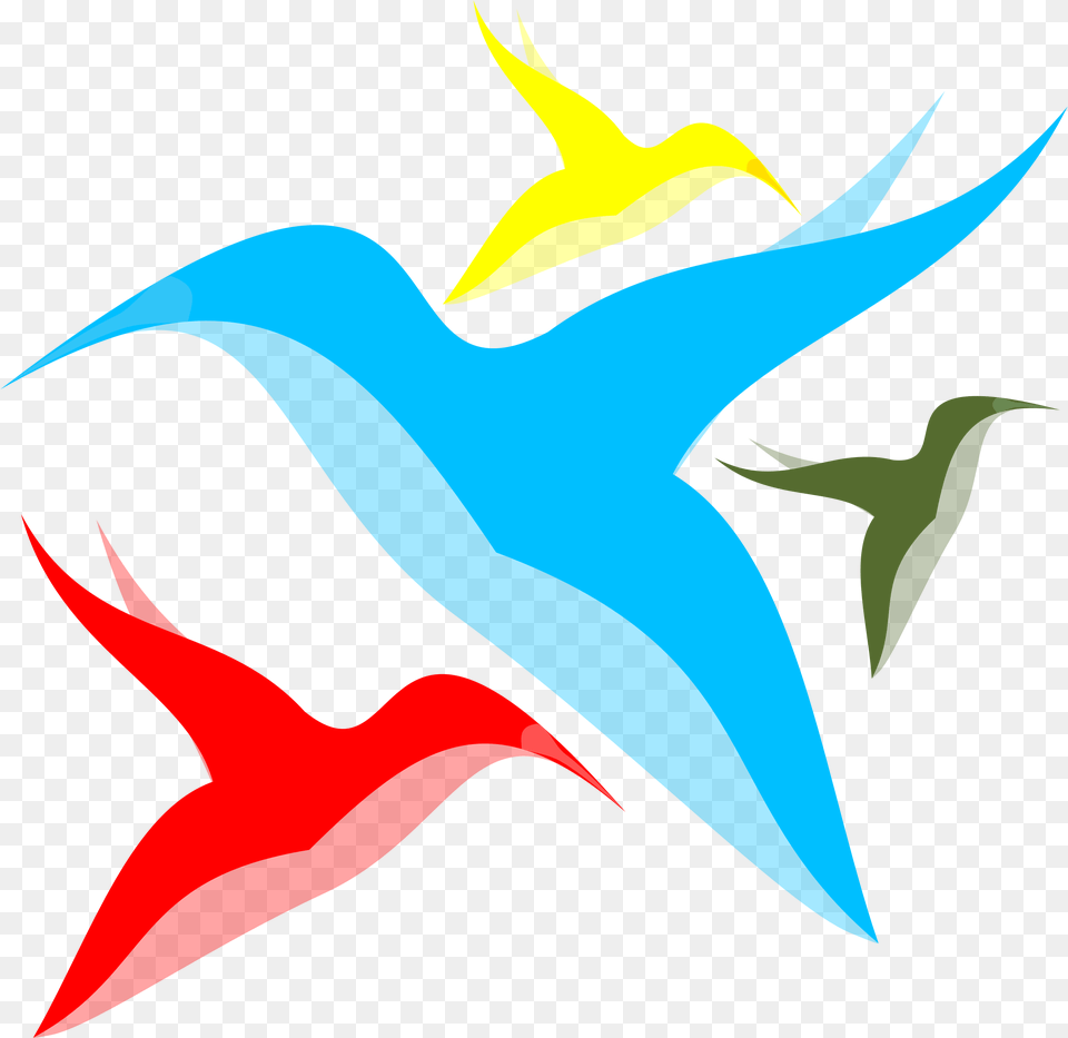 Bird Vectors Icons, Animal, Beak, Fish, Sea Life Png Image