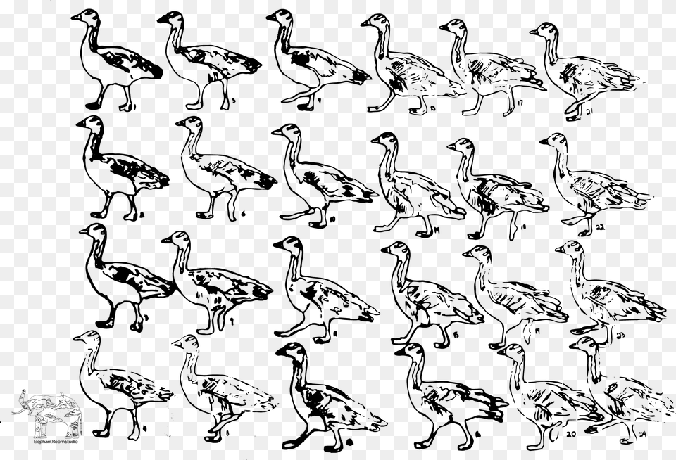 Bird Walk Cycle Animation, Art, Animal, Flock, Drawing Png Image