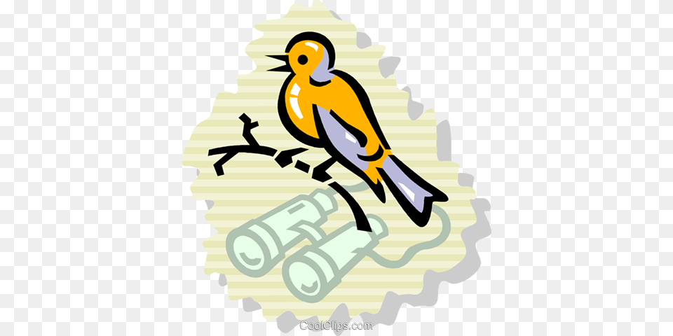 Bird Watching Royalty Vector Clip Art Illustration, Animal, Finch, Canary, Ammunition Png Image