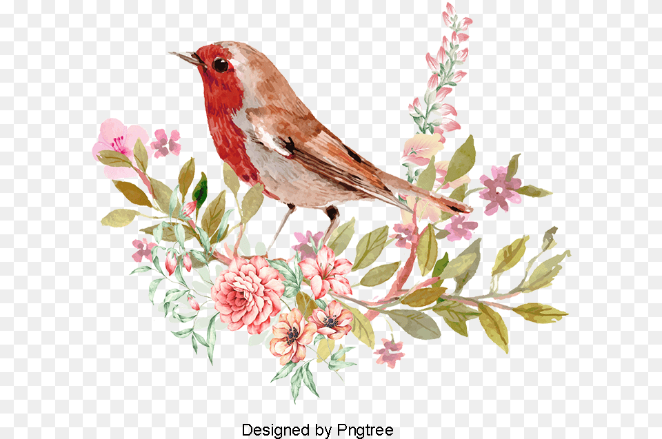 Bird Watercolor Clipart, Animal, Finch, Art, Floral Design Free Transparent Png