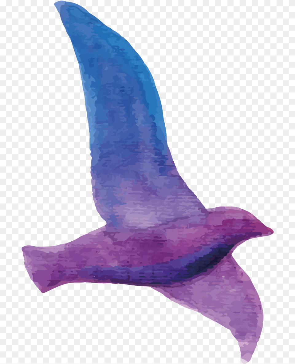Bird Watercolor Purple, Animal, Seagull, Waterfowl, Fish Png Image