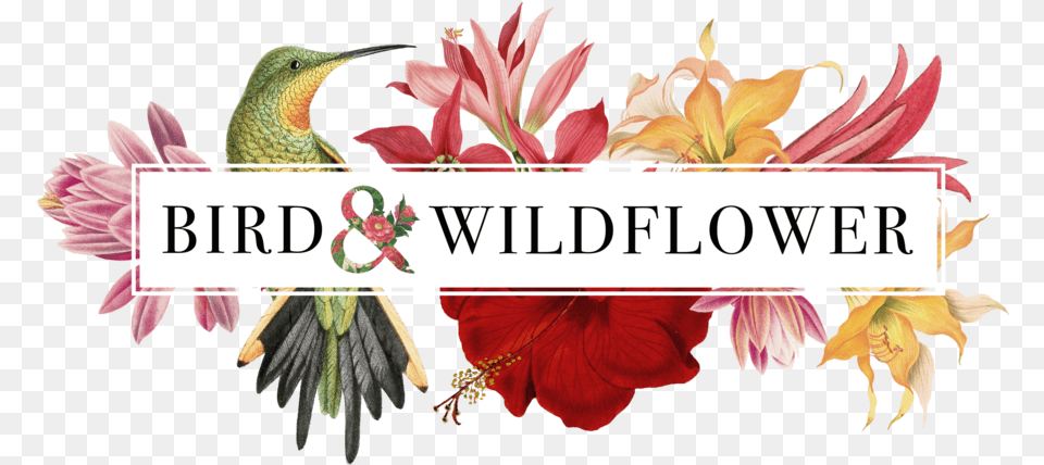 Bird Wildflower, Flower, Petal, Plant, Animal Free Transparent Png