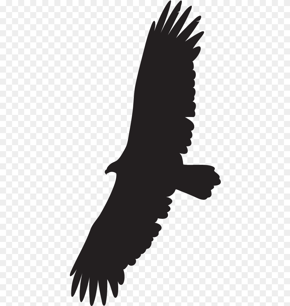 Bird Wing Black Vulture Golden Eagle Vippng Flying Vulture Drawing Easy, Animal, Person Free Transparent Png