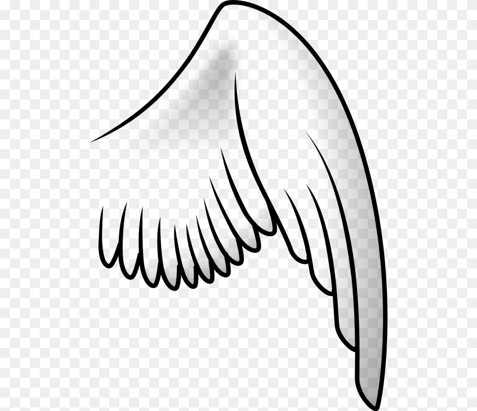 Bird Wing Clip Art, Gray Png Image