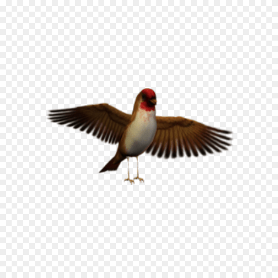 Bird Wings Dark Surreal Freetoedit, Animal, Finch, Flying, Beak Free Transparent Png