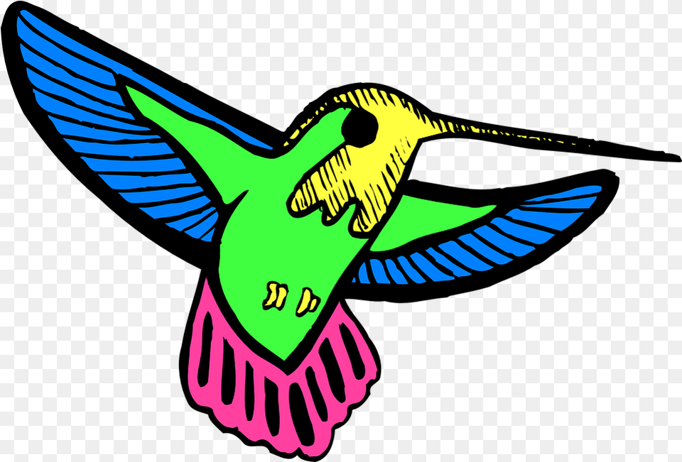 Bird Wings Hummingbird Free Vector Graphic On Pixabay Colibri Animados Y Tiernos, Animal, Flying, Fish, Sea Life Png Image