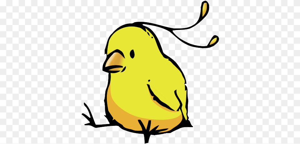 Bird With Existential Crisis, Animal, Beak, Face, Head Free Png