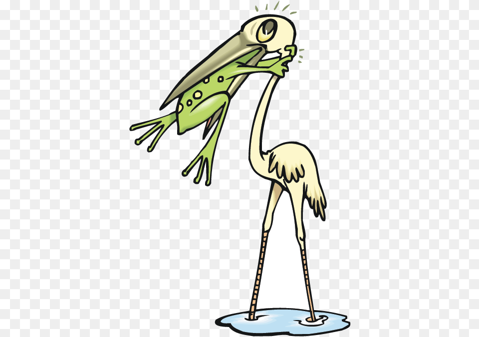 Bird With Frog Never Give Up Frog, Animal, Waterfowl, Crane Bird, Stork Png Image