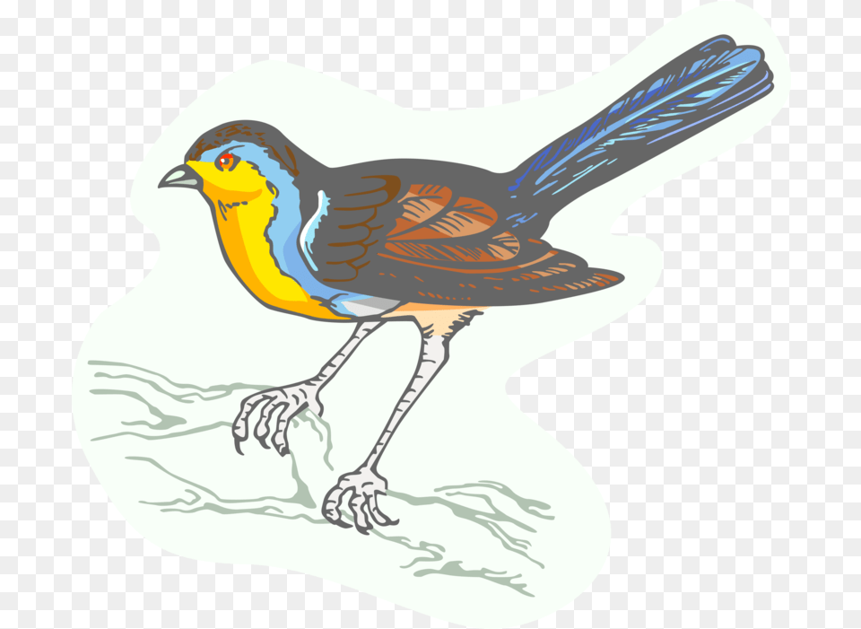 Bird With Red Wings Vector Image, Animal, Finch, Jay, Cutlery Free Transparent Png