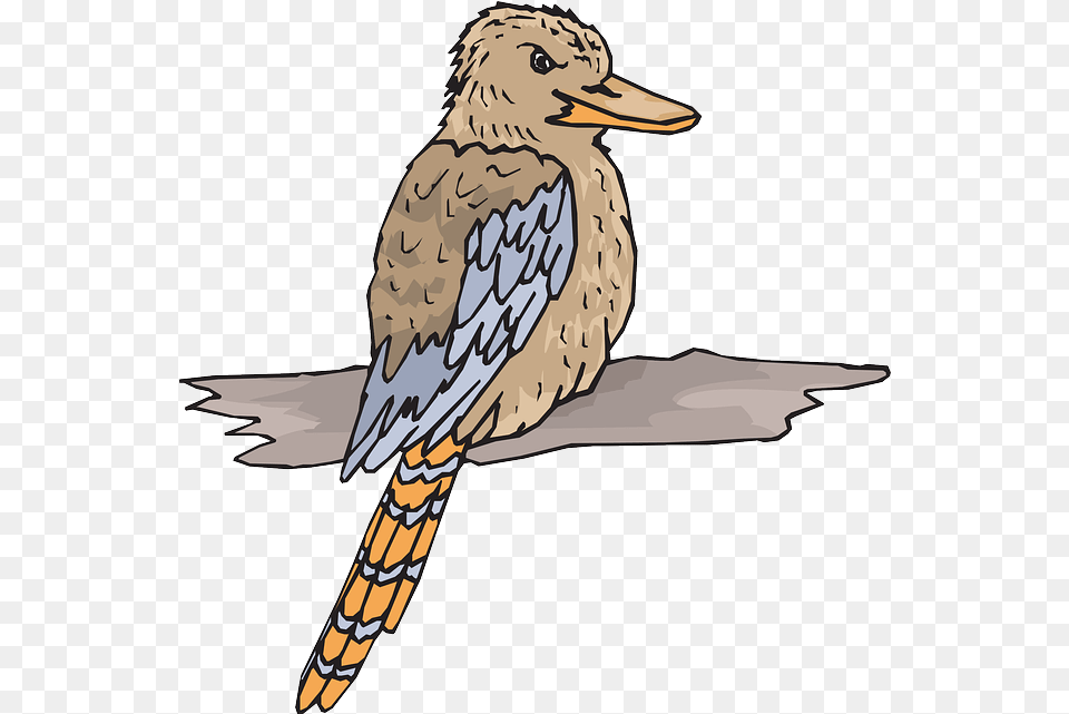 Bird Wood Wings Vector Graphic On Pixabay Kookaburra Clipart, Animal, Beak, Jay, Adult Free Transparent Png