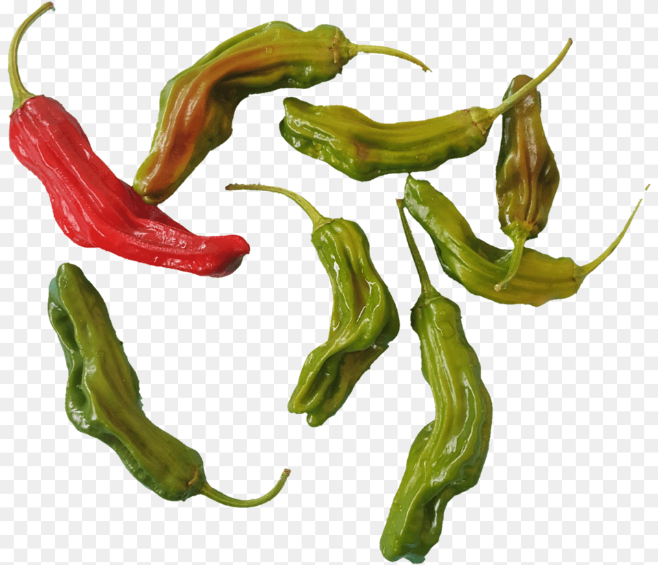 Bird39s Eye Chili, Plant, Food, Produce, Pepper Free Transparent Png