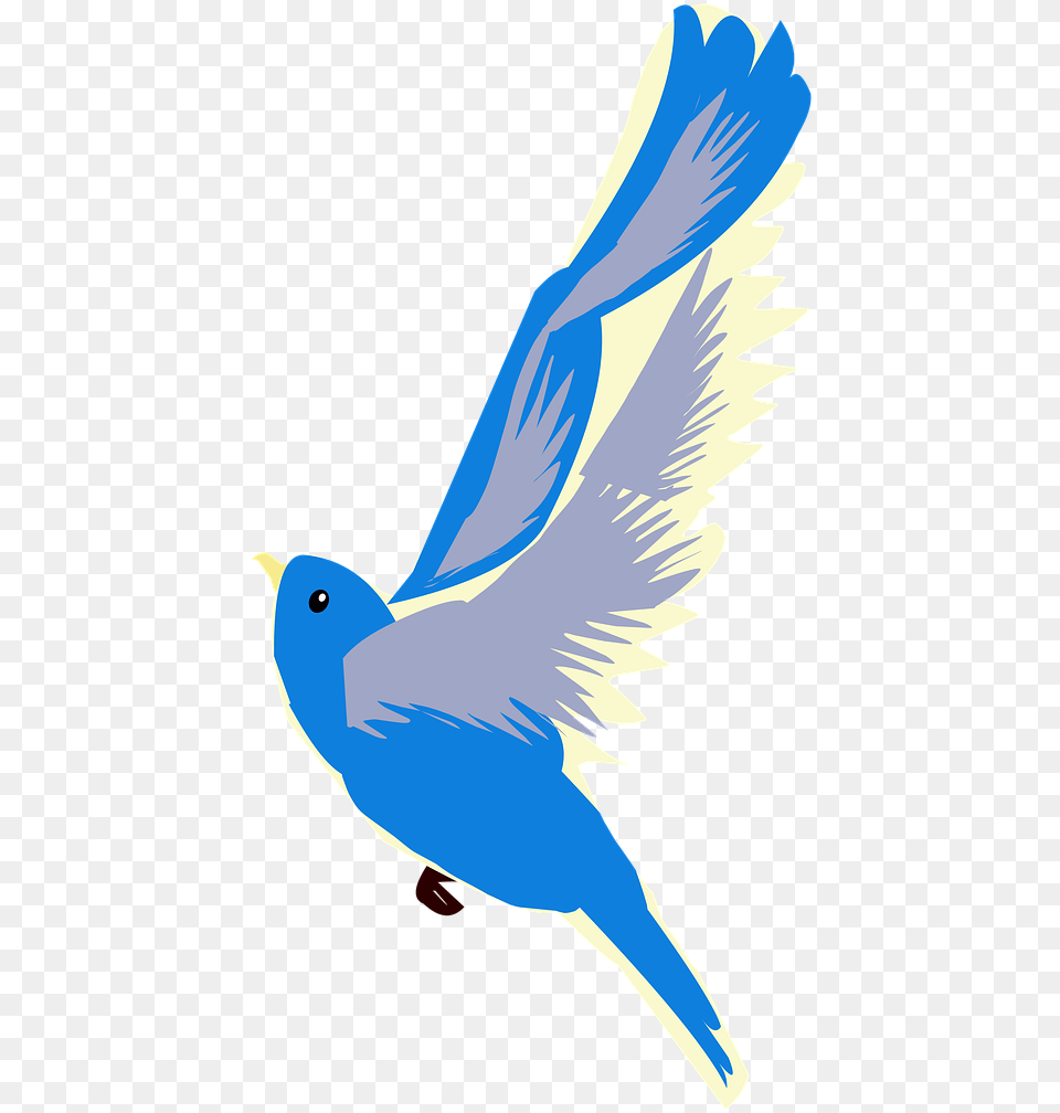 Birdblue Birdflyingnatureoutdoors From Blue Bird Flying Transparent, Animal, Person, Jay Png Image
