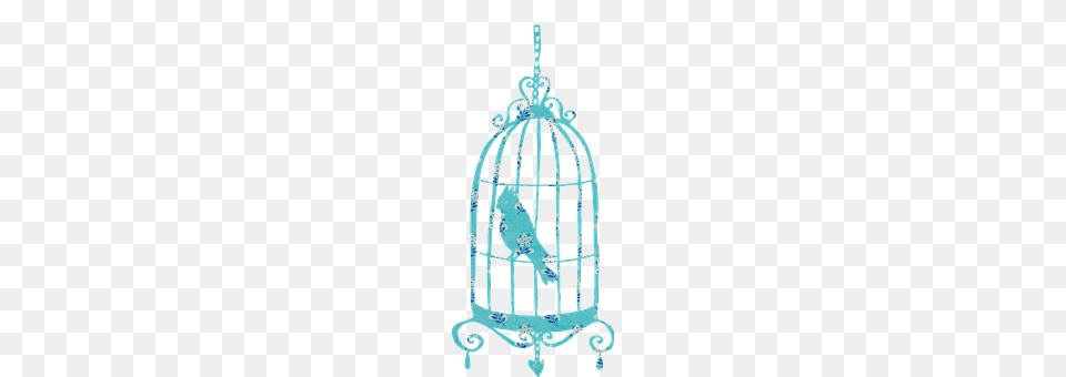 Birdcage Adult, Bride, Female, Person Free Png