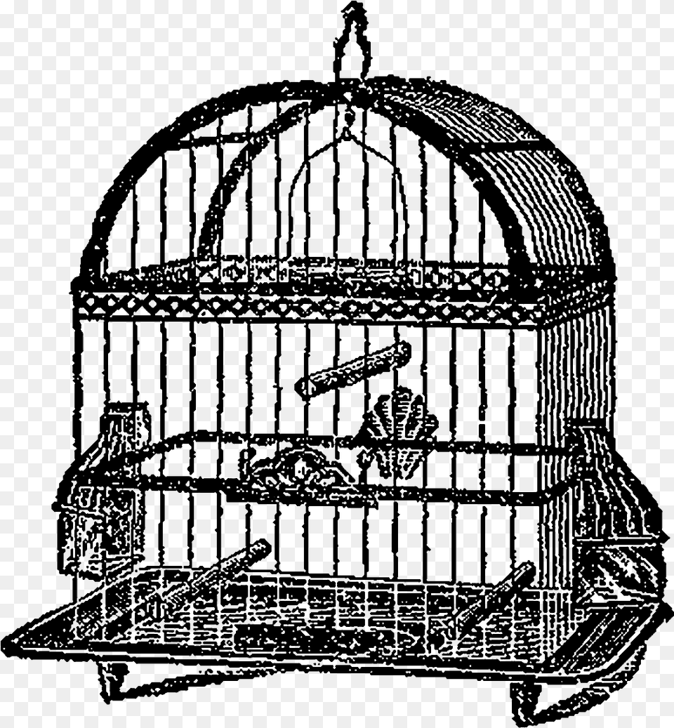 Birdcage Bird Clipart Illustration Artwork Digital Cage, Art, Architecture, Building, Drawing Free Png