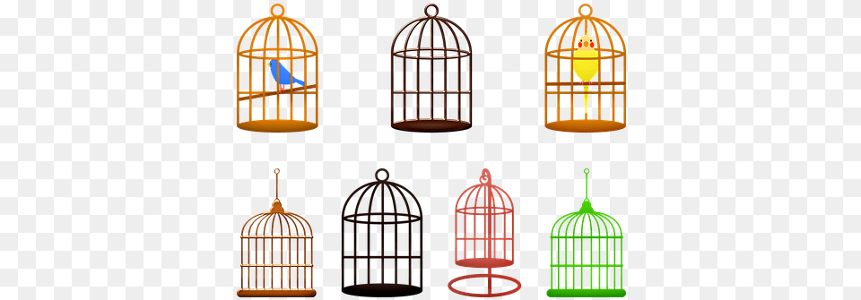 Birdcage Birds Colorful Cage Animal Bird, Architecture, Building Free Png Download
