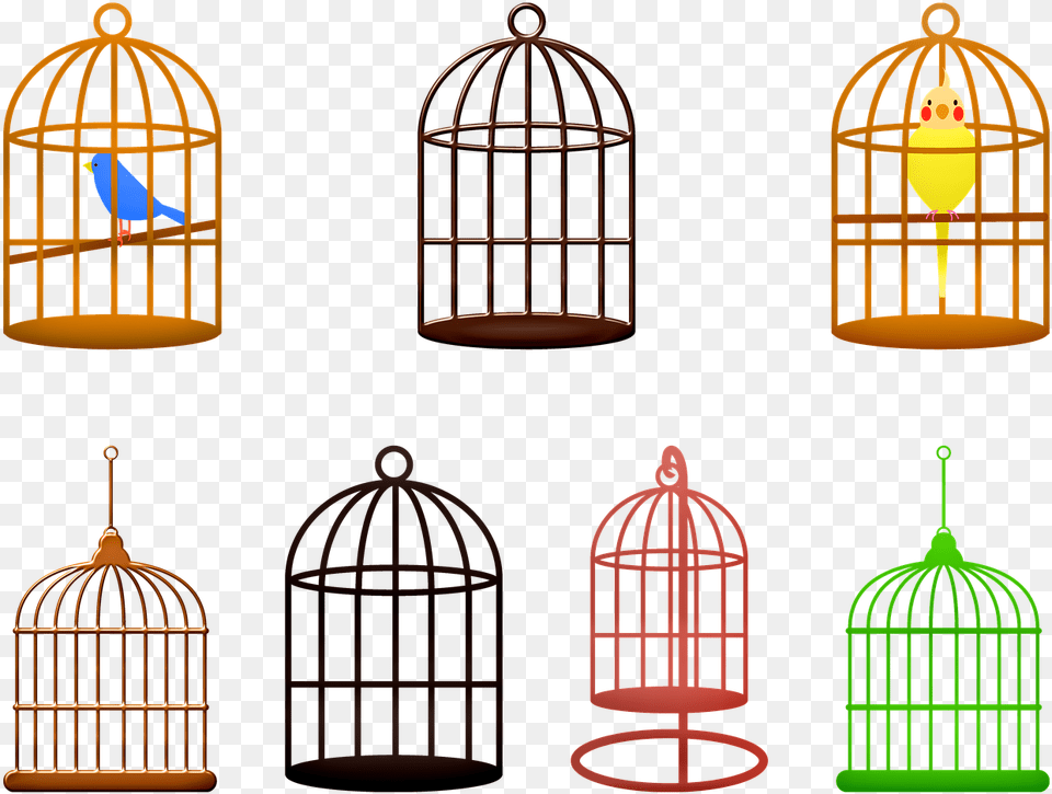 Birdcage Birds Colorful Photo Birds, Cage Free Png