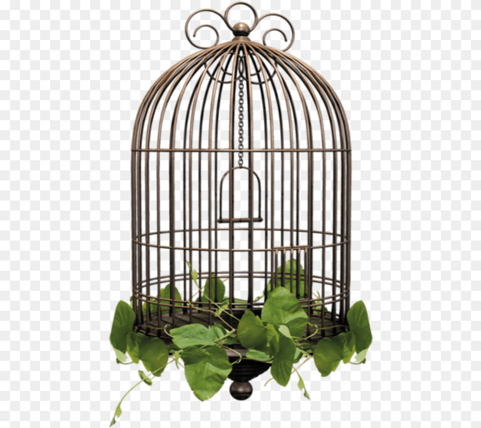 Birdcage Cage Bird Cage Background, Chandelier, Lamp Free Transparent Png