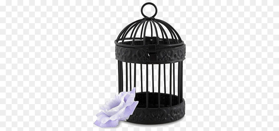 Birdcage Arts Small Decorative Bird Cage Au Png Image