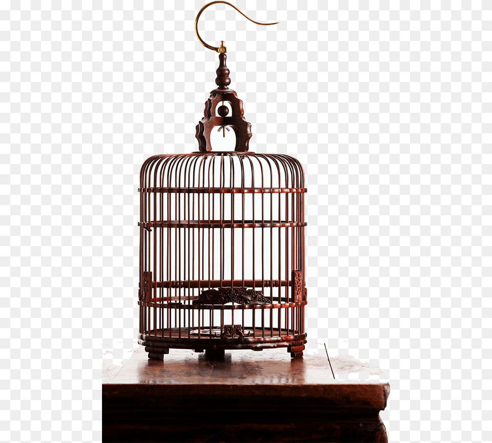 Birdcage Pic Birdcage, Crib, Furniture, Infant Bed, Cage Free Png