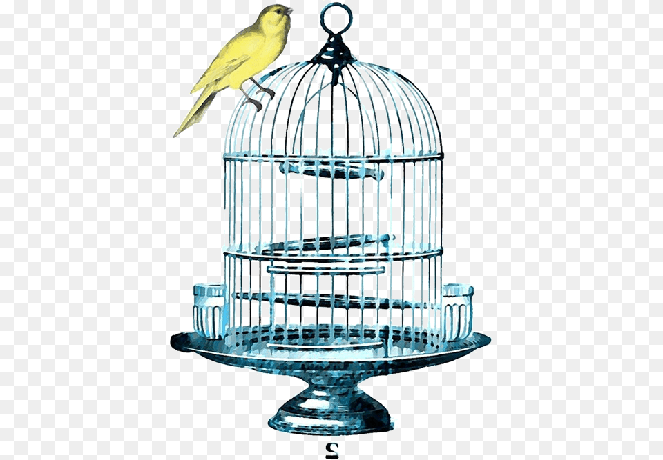 Birdcage Watercolor, Animal, Bird, Chandelier, Lamp Free Png