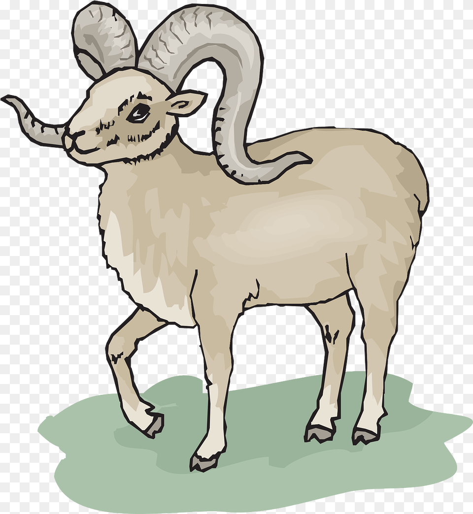 Birdduckwingslandingpng Ram Clipart, Livestock, Animal, Mammal, Face Png Image