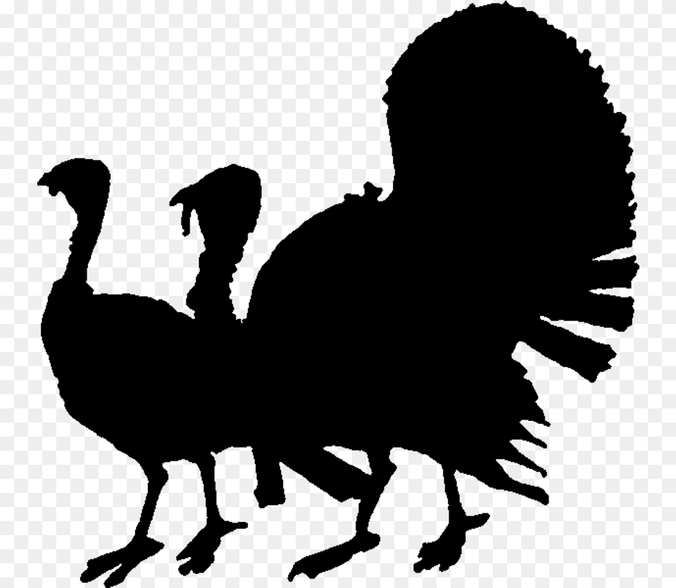 Birdflightless Turkey Silhouette, Nature, Night, Outdoors Png