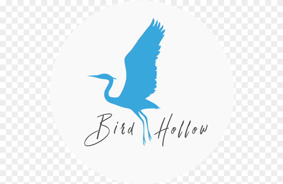 Birdhollow Circle Crane, Animal, Bird, Waterfowl, Crane Bird Png
