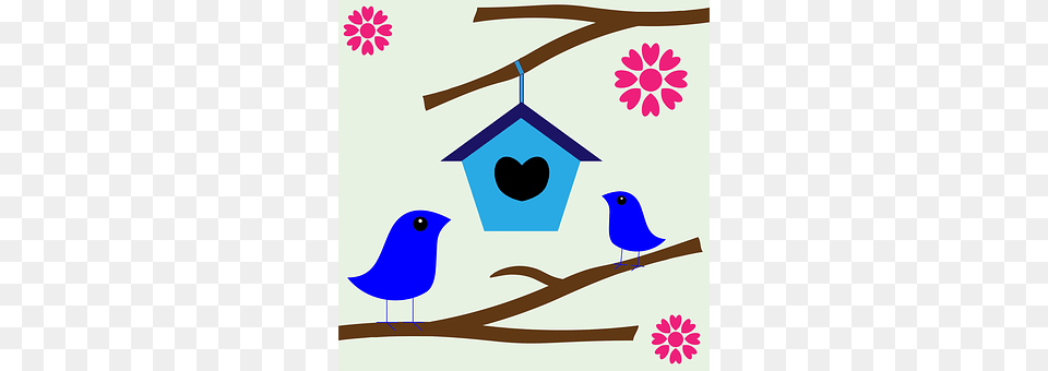 Birdhouse Animal, Bird, Jay Free Png Download