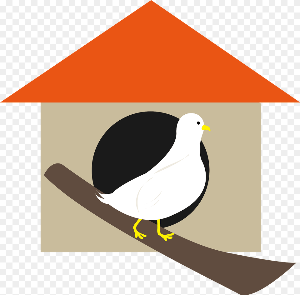 Birdhouse Clipart, Animal, Beak, Bird, Pigeon Png