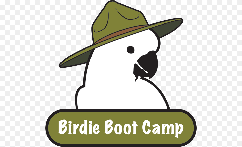 Birdie Boot Camp Miss Vickis Parrot Village, Clothing, Hat, Outdoors, Sun Hat Free Png