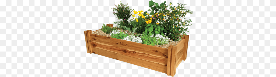 Birdies 1200 X 400 300mm Heritage Timber Planter Boxes Bunnings, Jar, Plant, Potted Plant, Pottery Free Transparent Png