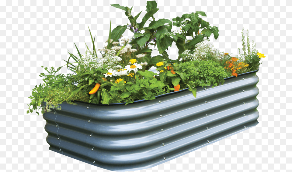 Birdies Modular Raised Garden Bed Prefect For A New Birdies Raised Garden Beds, Vase, Pottery, Potted Plant, Planter Png