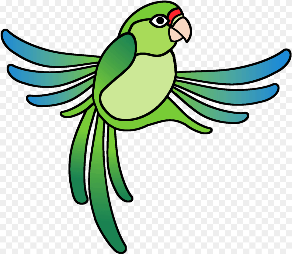 Birding Rainforest Inn Boutique Bed And Breakfast Puerto Rican Parrot Animal, Bird, Parakeet Free Transparent Png