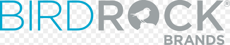 Birdrock Logo, Green, Text Free Png Download